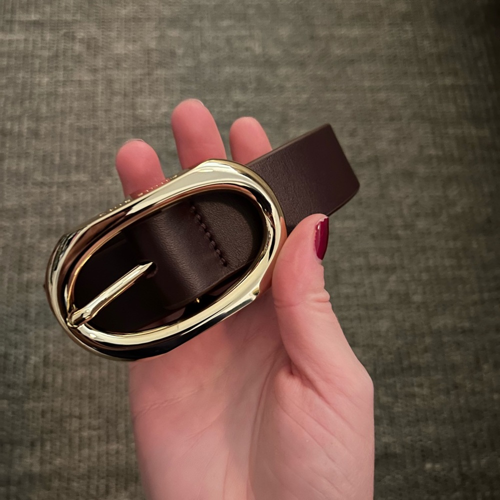 Anine Bing signature link belt